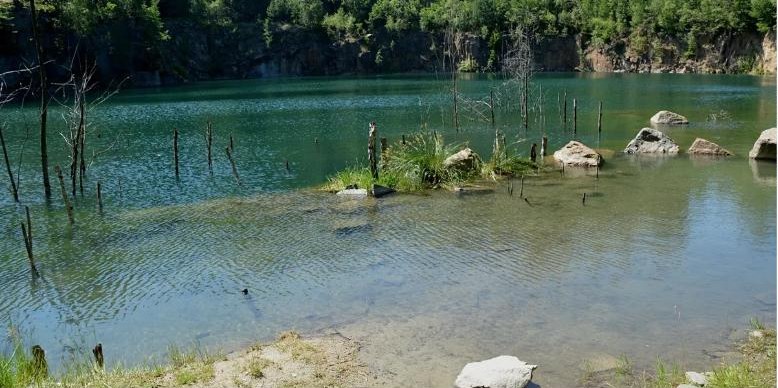 Pozemek s rybníkem, Lipová